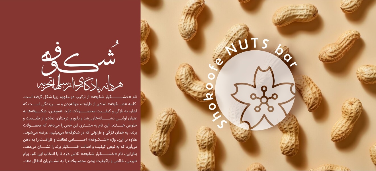 معرفی فروشگاه خرید آجیل خشکبار شکوفه